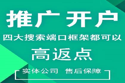 百度推广费用投入与用户转化路径的优化案例