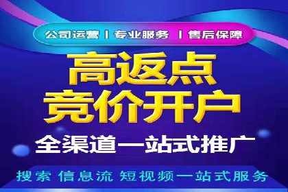 案例分析：百度推广排名提升的优化策略